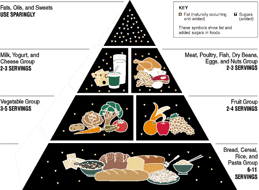 food Pyramid 