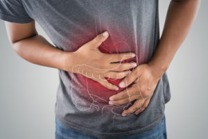 Gut Health - 5 Things You Need to Know